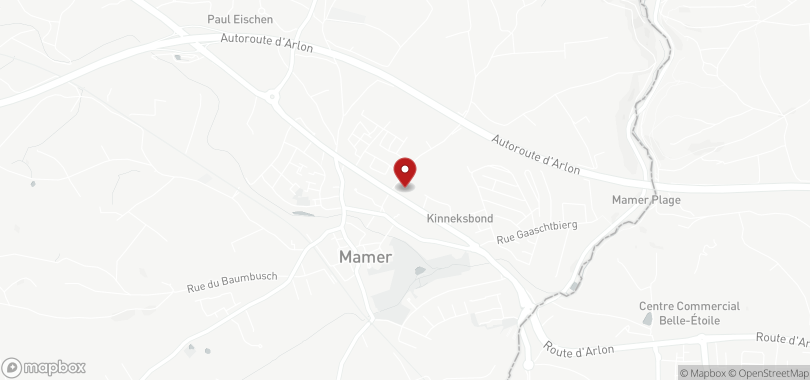 Premises for sale in Mamer (map)