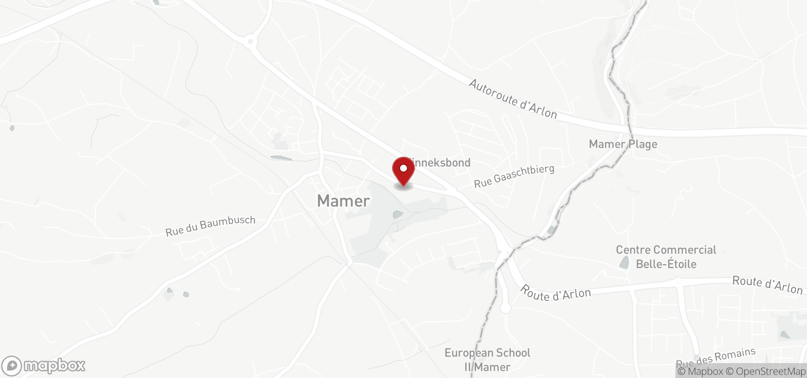 Local commercial en vente à Mamer (map)