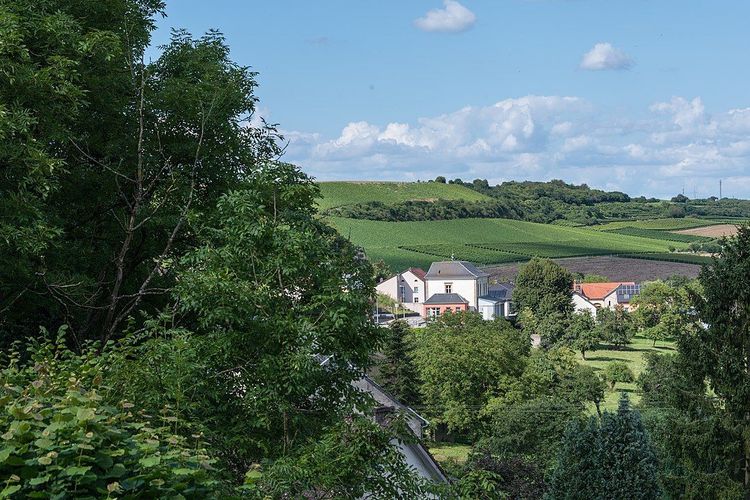 Niederdonven: Entdecken Sie den Charme der luxemburgischen Landschaft