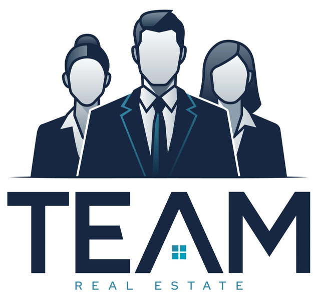 TEAM IMMO SARL logo