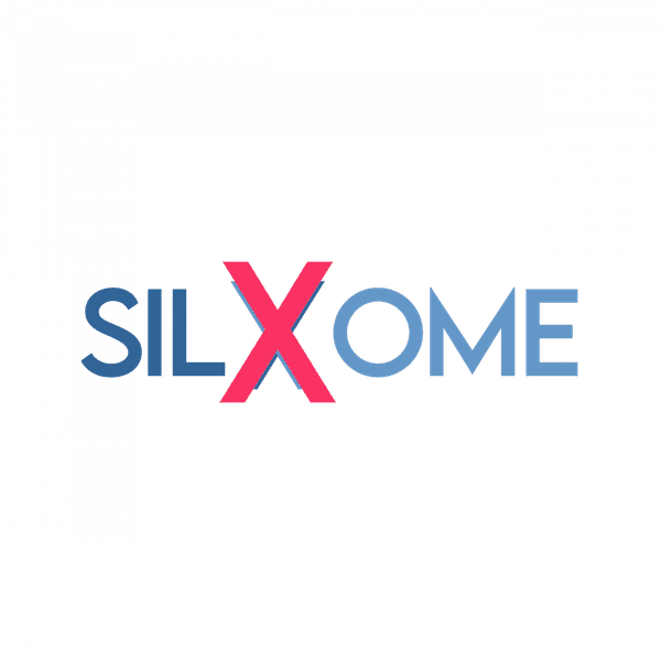 SILXOME SARL logo