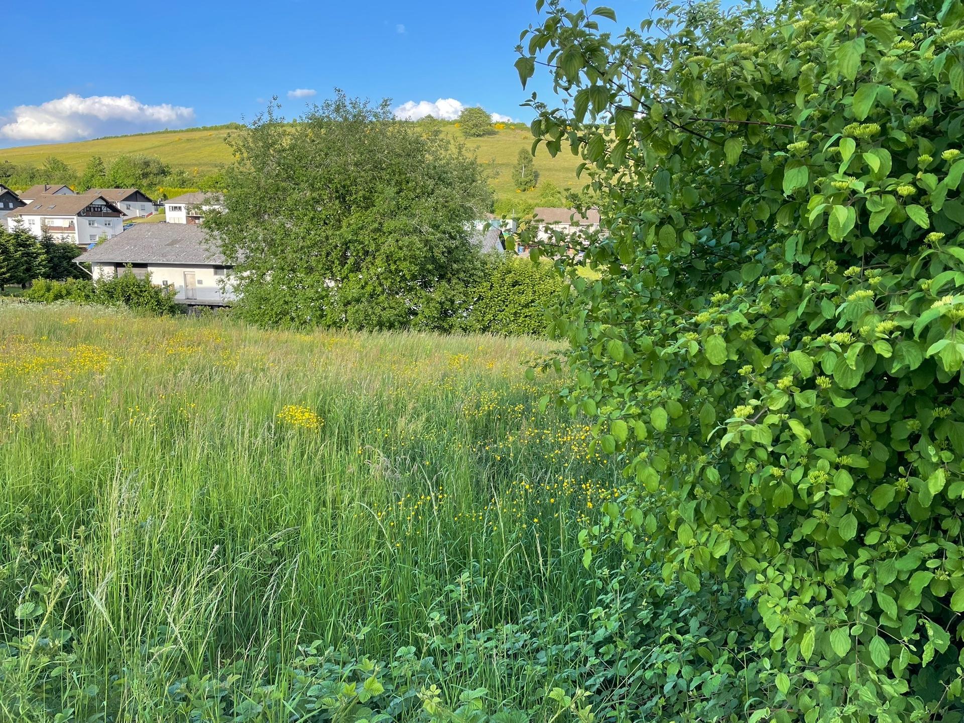 Building land for sale in Burbach