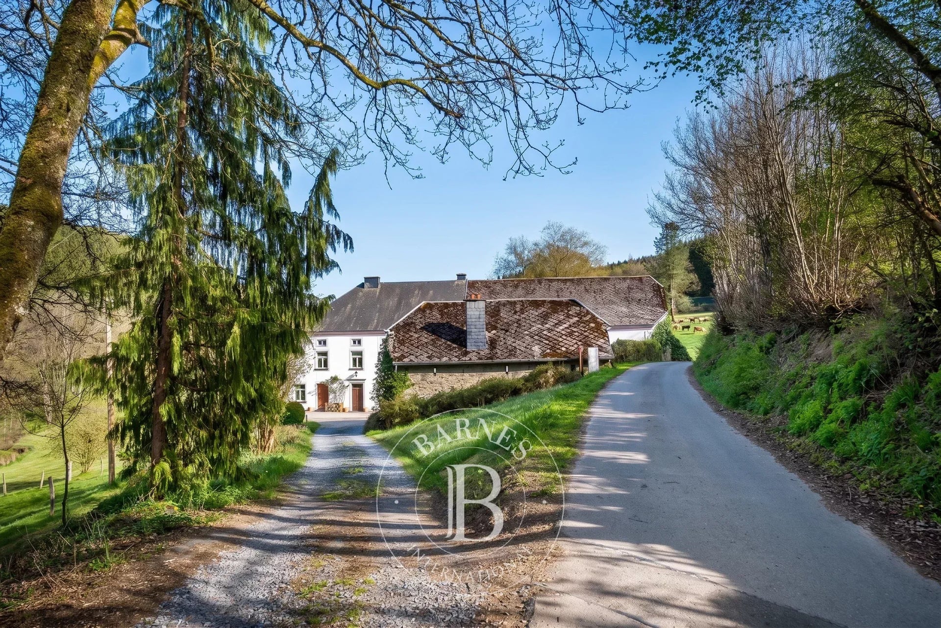 Maison 11 chambres en vente à Sonlez