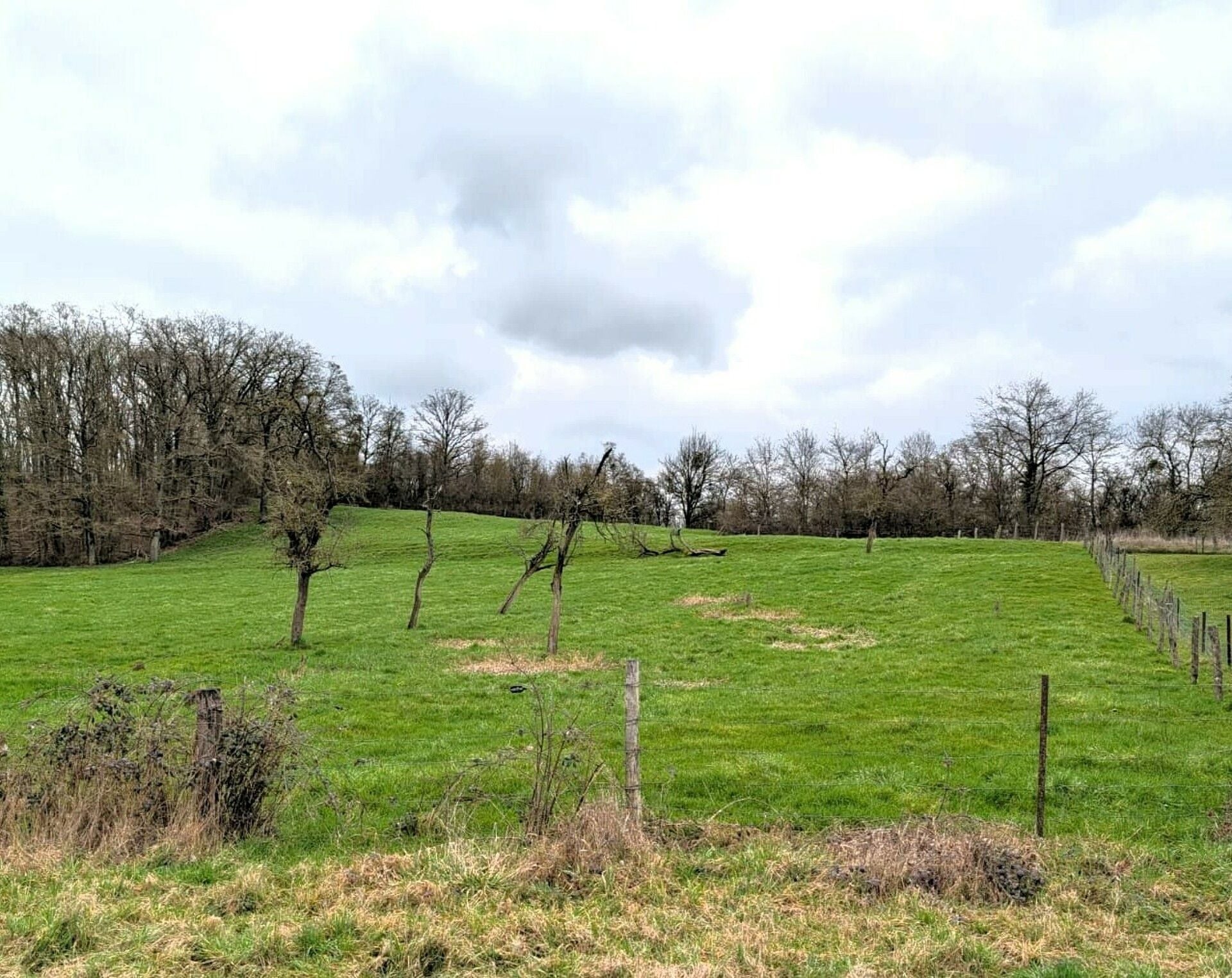 Terrain constructible en vente à Puttelange-lès-Thionville