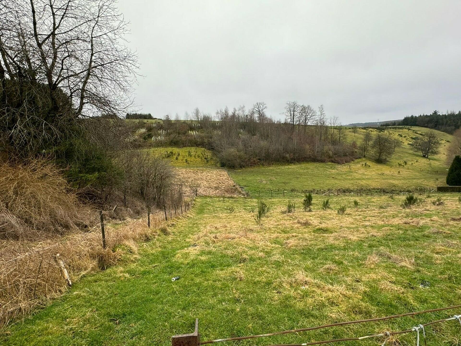 Terrain en vente à Rambrouch