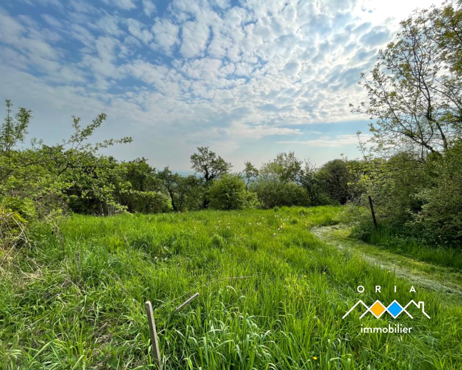Terrain constructible en vente à Mousson