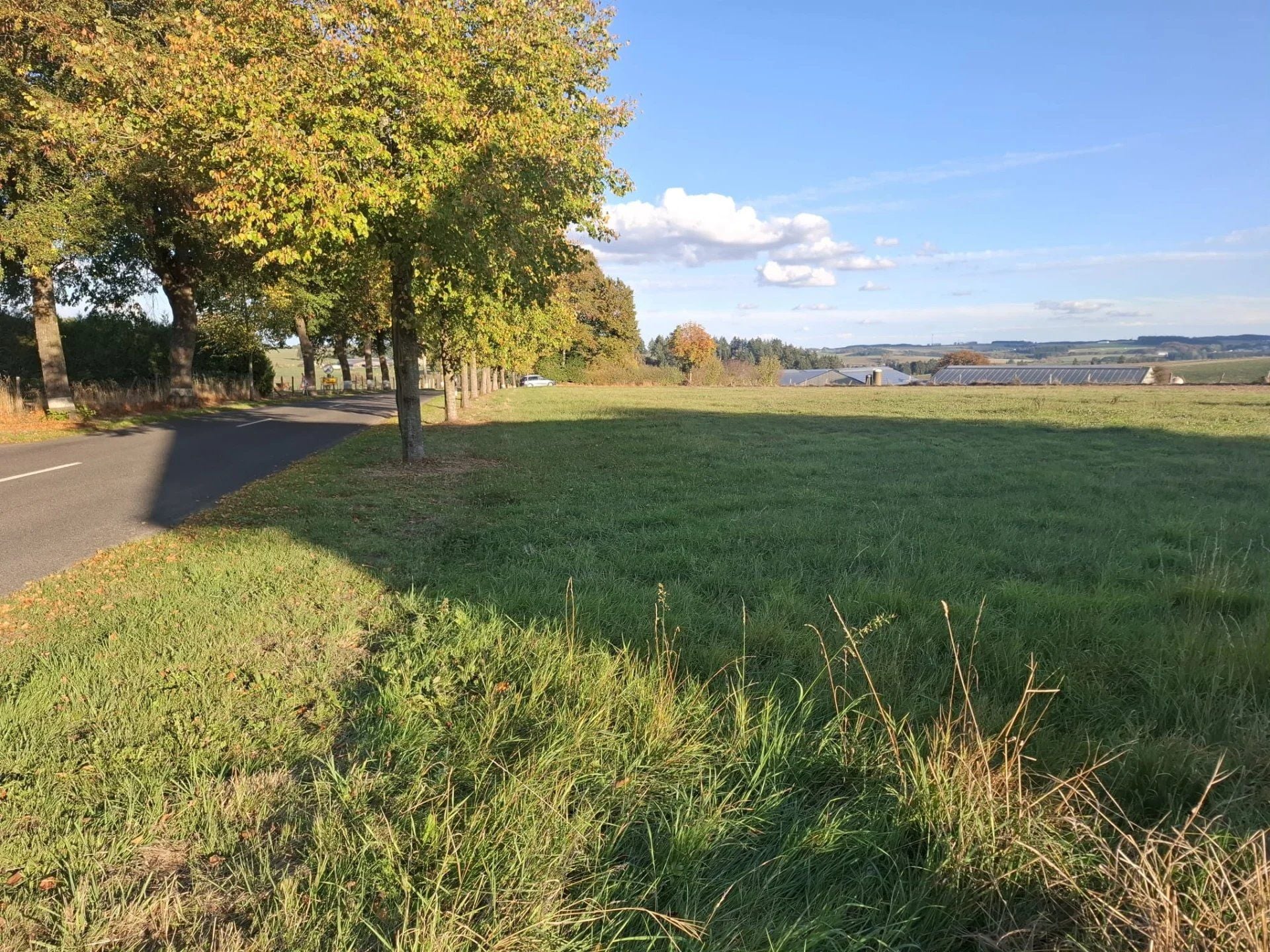 Plot of land for sale in Hachiville, Wincrange municipality