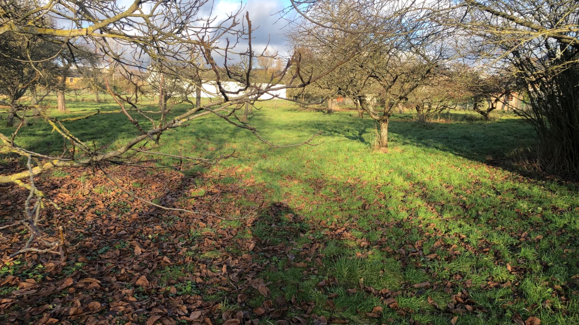 Bauland zum Verkauf in Strassen