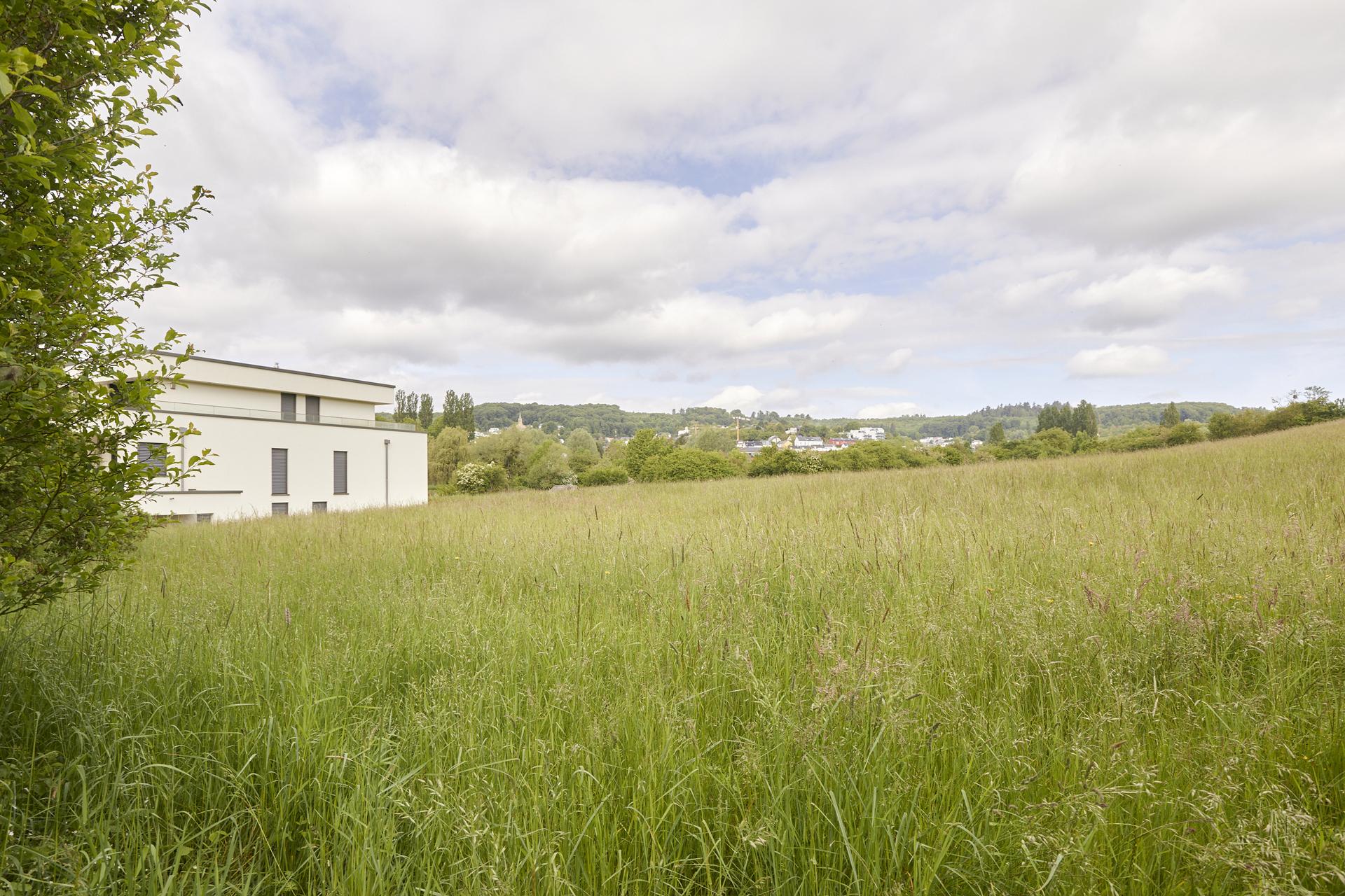 Terrain constructible en vente à Niederanven