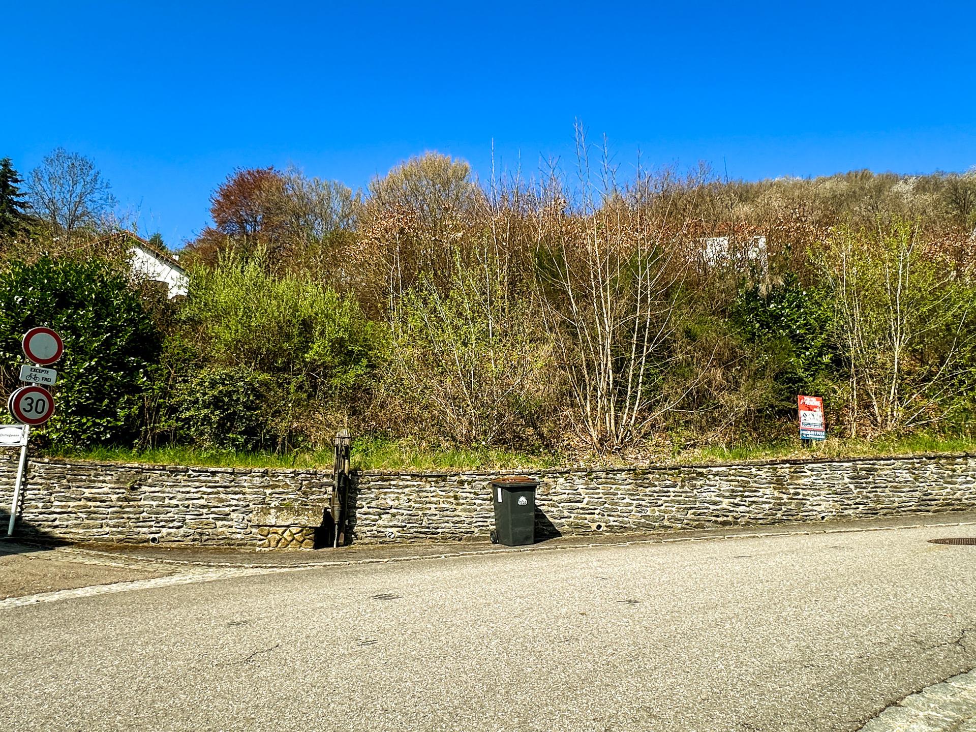 Terrain constructible en vente à Bivels