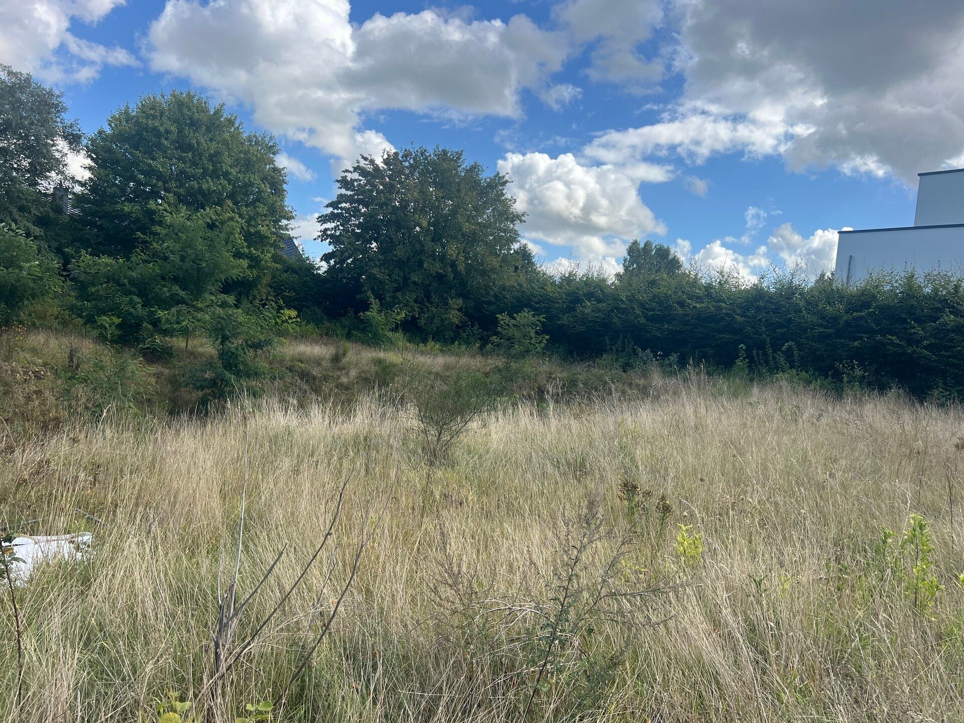 Terrain constructible en vente à Niederanven