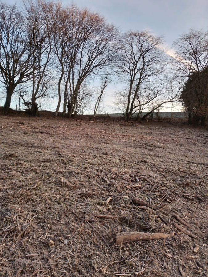 Terrain constructible en vente à Boxhorn, commune de Wincrange