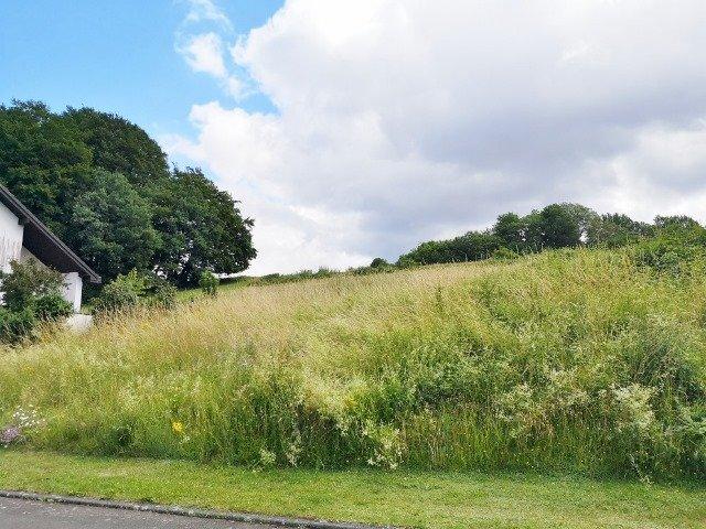 Terrain constructible en vente à Balesfeld