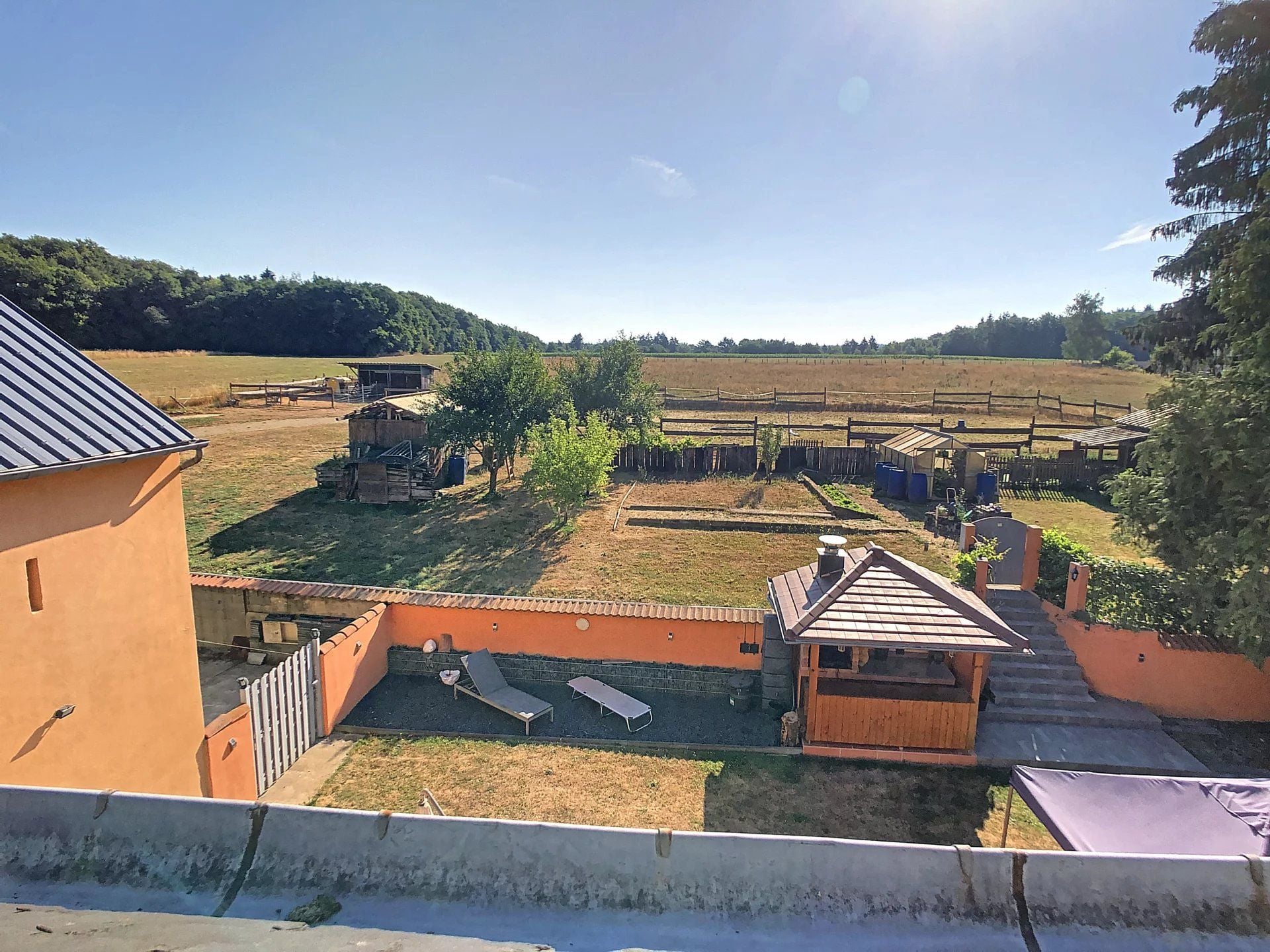 Ferme 5 chambres en vente à Scheidgen, commune de Consdorf
